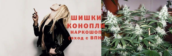 ПСИЛОЦИБИНОВЫЕ ГРИБЫ Горно-Алтайск