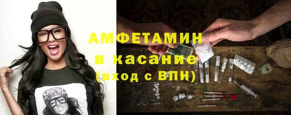 ПСИЛОЦИБИНОВЫЕ ГРИБЫ Горно-Алтайск