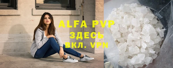 ПСИЛОЦИБИНОВЫЕ ГРИБЫ Горно-Алтайск