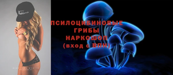 ПСИЛОЦИБИНОВЫЕ ГРИБЫ Горно-Алтайск