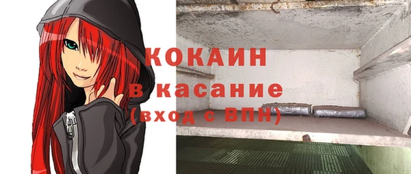 ПСИЛОЦИБИНОВЫЕ ГРИБЫ Горно-Алтайск