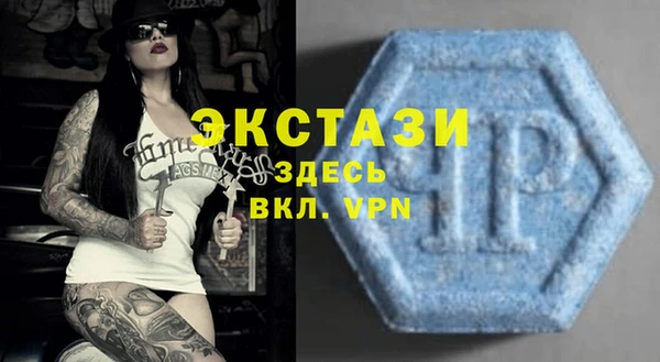 ПСИЛОЦИБИНОВЫЕ ГРИБЫ Горно-Алтайск