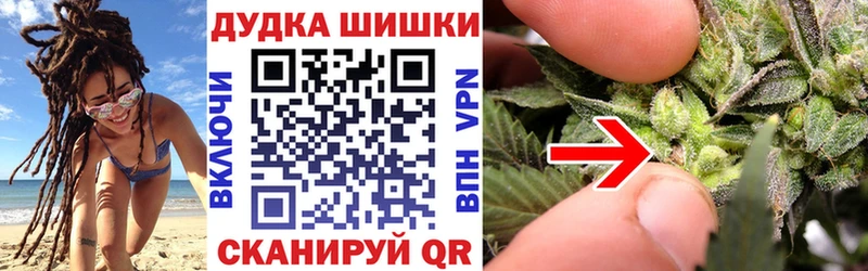 Бошки Шишки семена  как найти наркотики  Обоянь 